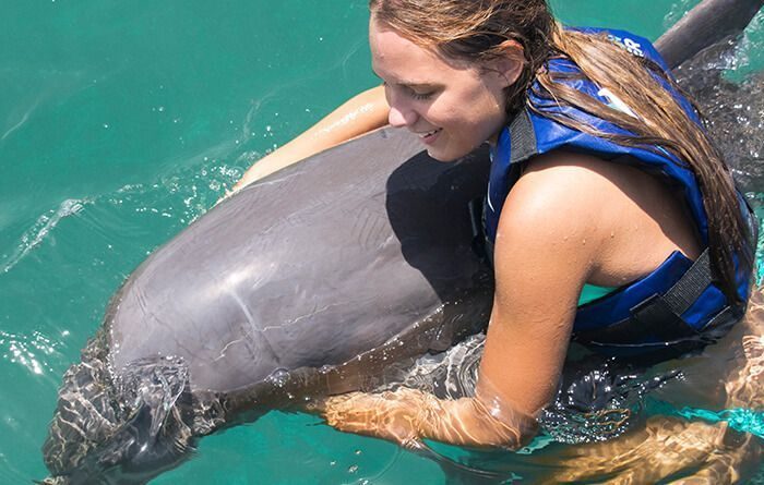 Encuentro con delfines en Punta Cana. Dolphin Funtastic.