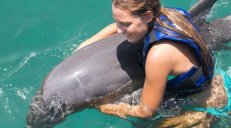 Dolphin encounter in Punta Cana. Dolphin Funtastic.