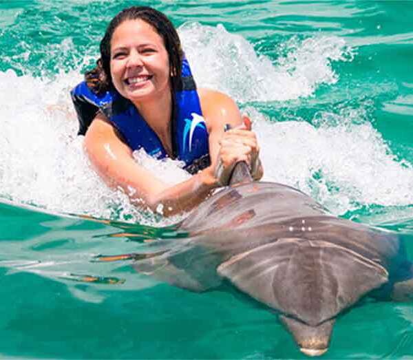 Swimming with dolphins in Dolphin Explorer