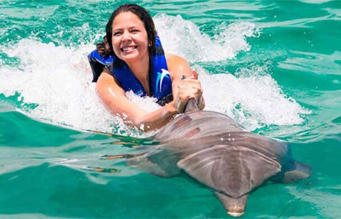 Nado con delfines en Dolphin Explorer