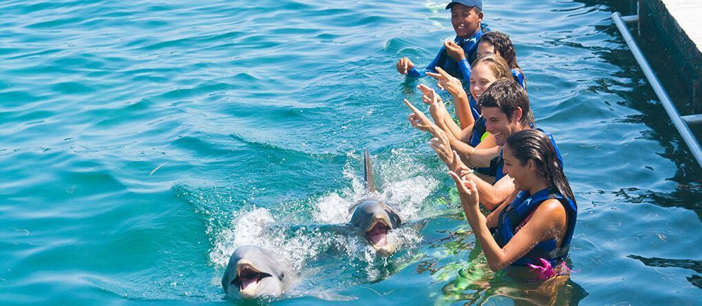 Punta Cana Dolphin Funtastic